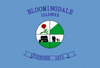 Flag of Bloomingdale