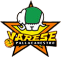 Logo utilizzato dal 2000 al 2010[23].