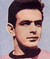 José Ferdinando Puglia