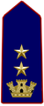 Distintivo di grado per controspallina di Segretaria Nazionale del Corpo delle Infermiere Volontarie della Croce Rossa Italiana