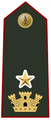 Distintivo di qualifica per controspallina di vice direttore del Corpo nazionale dei vigili del fuoco